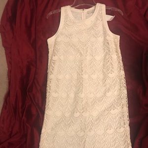 Loft Lace Scalloped Dress